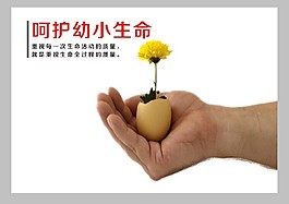 呵護幼小生命