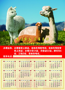 2015年日历 羊驼