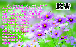 踏青