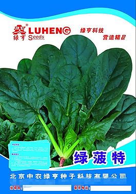 菠菜包裝