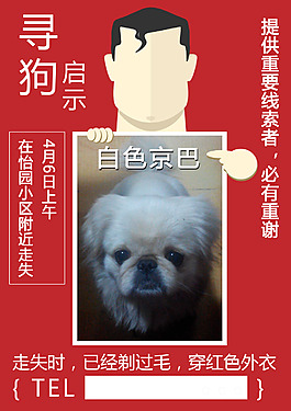 尋狗啟示
