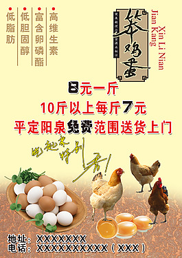 笨雞蛋出售
