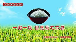 節(jié)約糧食