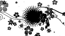 灰色花朵視頻素材