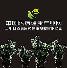 公司形象墻