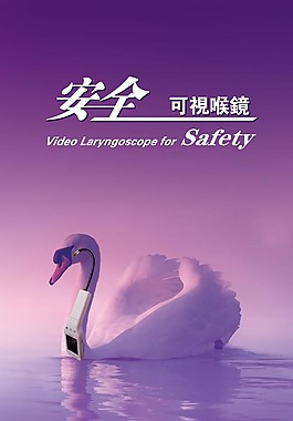 水上天鹅