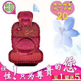 汽車坐墊圖片