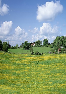 農(nóng)莊背景圖