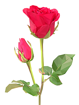 美麗紅色玫瑰花