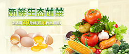蔬菜海報(bào)