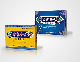 電極貼片展開圖