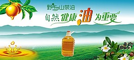 野生山茶油