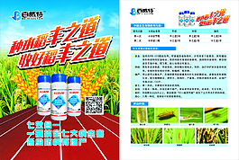 種水稻豐之稻收好稻豐之稻