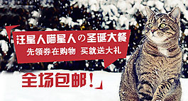 圣誕冬天貓