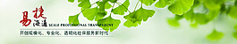 清新banner