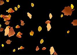 飄動的葉子視頻素材