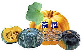 南瓜