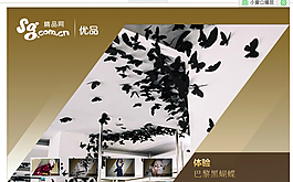 不規則FLASH焦點圖代碼