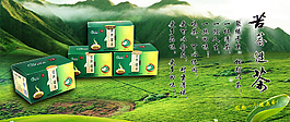 苦蕎茶