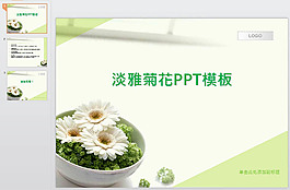 淡雅菊花