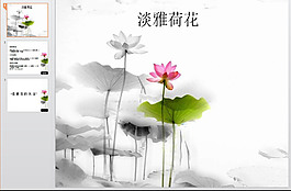 荷花
