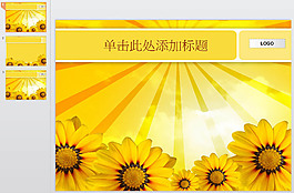 黃色向日葵