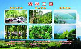 太子山森林王国