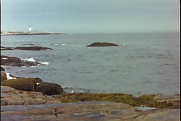 海灘視頻素材