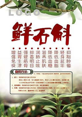 鮮石斛
