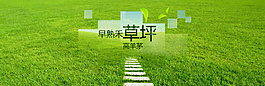 改革創新的草品banner高清psd圖