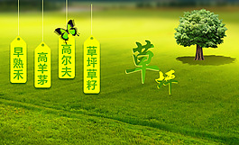 高清psd草坪banner設計
