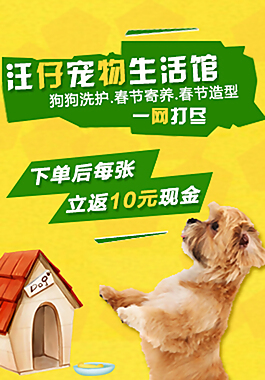 狗狗