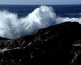 海邊視頻素材