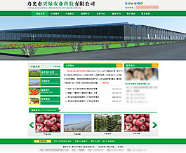 网页模板