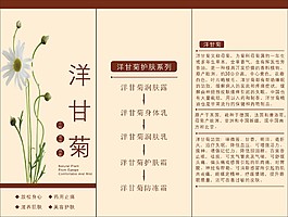 洋甘菊三折頁