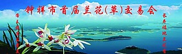 海報背景
