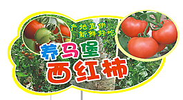 異型蔬菜