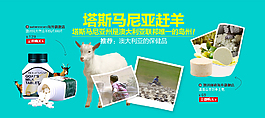 塔斯馬尼亞趕羊淘寶促銷海報psd源文件