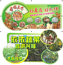 異型蔬菜展板