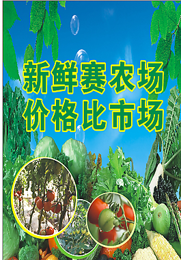 蔬菜板