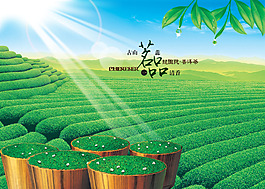 茶藝