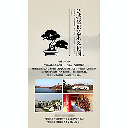 盆景海報