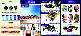 黑枸杞四折頁畫冊