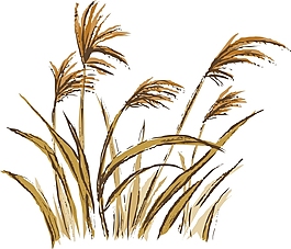 插畫矢量素材
