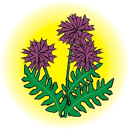 插畫矢量素材