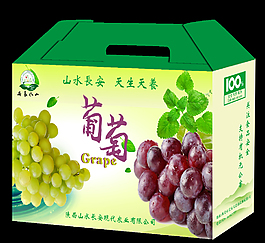 葡萄包裝禮盒設計