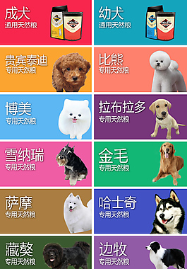 淘寶手機(jī)店鋪設(shè)計(jì)