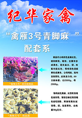 展架