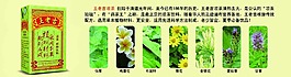 王老吉