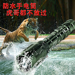 直通車圖